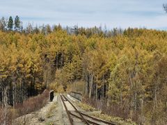 -莫尔道嘎国家森林公园