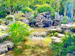 -东莞植物园