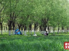 -天津武清北运河郊野公园房车露营地