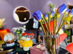 -花隐·美芙炫海菲秀皮肤管理中心