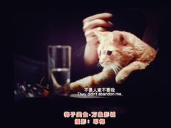 -万象影城(石家庄万象城IMAX激光店)