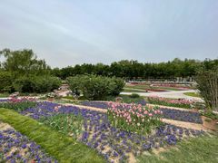 -石家庄市植物园