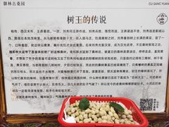 -御林古桑园