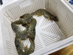 -丰烟起(象兴路店)