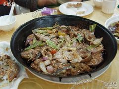 铁板鲶鱼-海岛渔村大酒店(云霄路店)