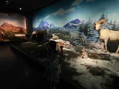 -浙江自然博物院(杭州馆)