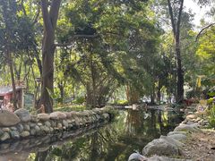 -成都市活水公园