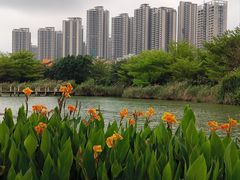 -中澳友谊花园