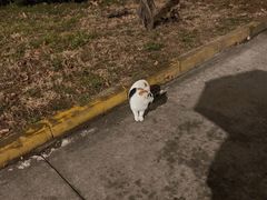 -长安大学(北校区)