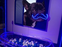 -乐潮汇时尚量贩式KTV(嘉业国际城购物中心店)