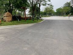 -王借岗森林公园