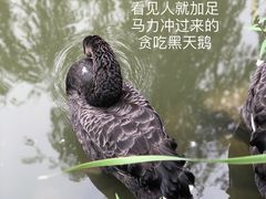 -茶肆(仙林店)