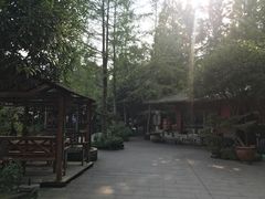 -青城甲(青城山店)