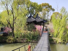 -南汇桃花村