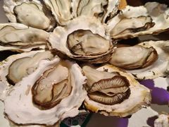 -蚝堡海鲜·威海菜·海肠捞饭·烧烤·亚洲吃蚝公司(幸福门店)
