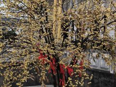 -报恩禅寺