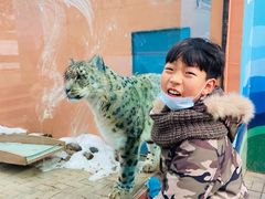 -青藏高原野生动物园
