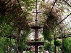 -The Grounds of Alexandria