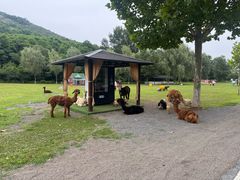 -大连铭湖国际观光牧场