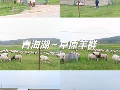-青海湖国家重点风景名胜区