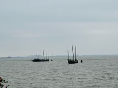 -贡湖湾湿地公园