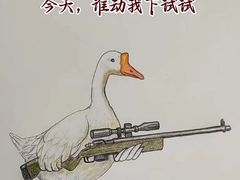 -二胖家铁锅炖大鹅(双井店)