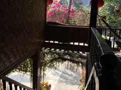 -西双版纳傣族园