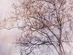 -大小河街