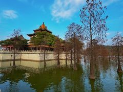 -顺峰山公园