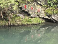 -石台牯牛降景区