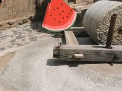-西柏坡红色胜典景区