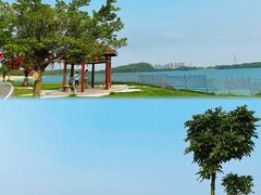 -露天矿生态公园