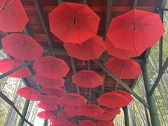 -陶祖圣境风景区