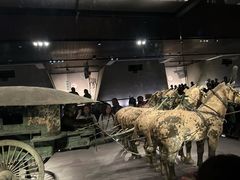 -秦始皇帝陵博物院-丽山园