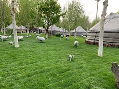 -九十九顶毡房(阜石路店)