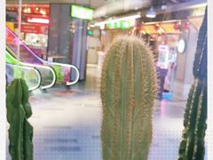 -TOP健身私教工作室(侨香店)
