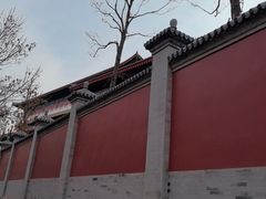 -天津大悲禅院