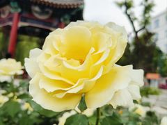 -西海子公园