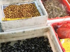 -鸿达渔港