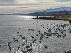 -青海湖二郎剑景区