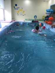 -鱼乐贝贝婴幼儿水育馆(高桥红坊店)
