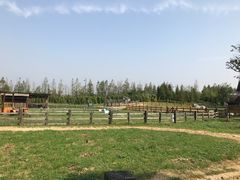 -田园东方蜜桃村的田野营地