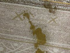 -泰洋动物医院·神经专科·磁共振·CT(天河公园总院)