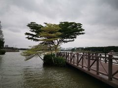 -海珠湖公园