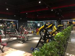 -梧桐阳光国际游泳健身会所(亚运村店)