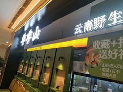 -季季山·云南野生菌火锅(上海首店)