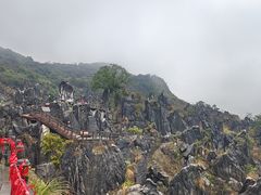 -玉石林风景区