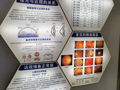 -雪亮眼镜旗舰店