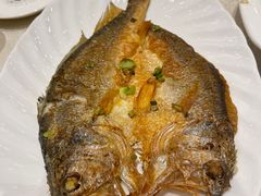 -锦粤宫·精致粤菜(阳西店)