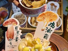 -菌自由丨野生菌火锅特色庭院餐厅(丽江古城店)